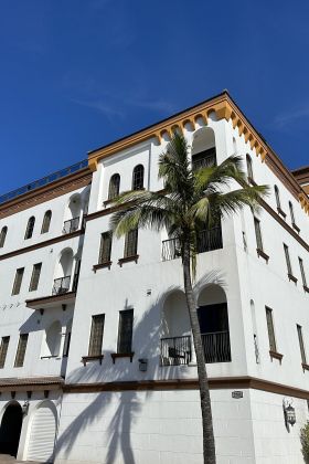 primer plano de una palmera situada en el exterior del Hotel Zamora