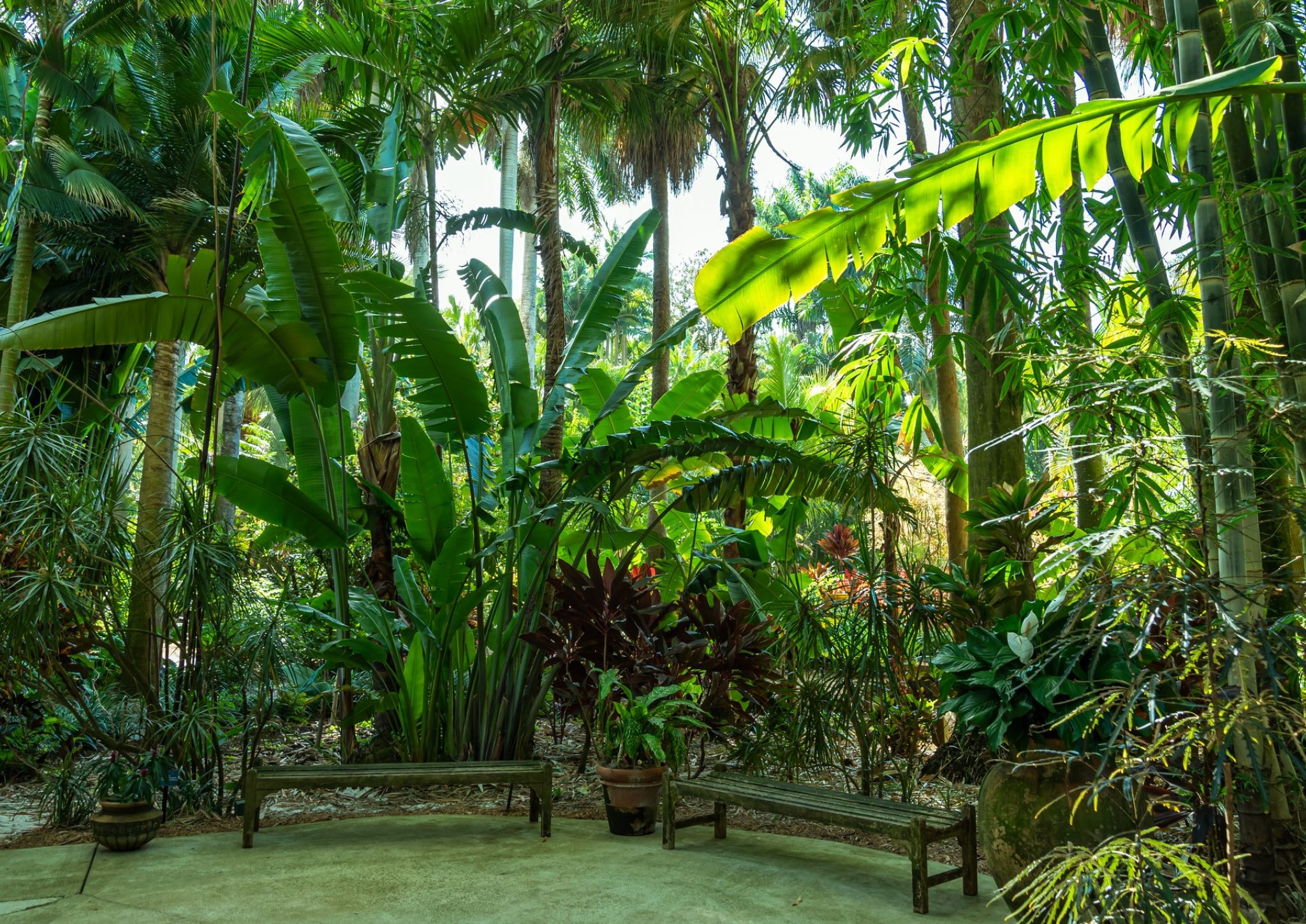 View of Sunken Gardens with benches and thousands of species of tropical plants and flowers