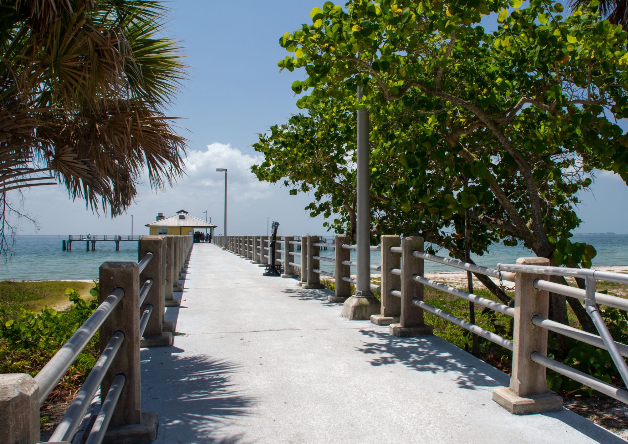 Pier looking to ocean with tropical plants at Fort De Soto State Park